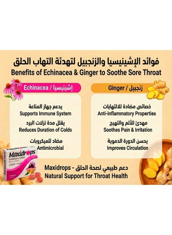 Maxidrops Echinacea Ginger Lozenges 24 pcs - Image 5